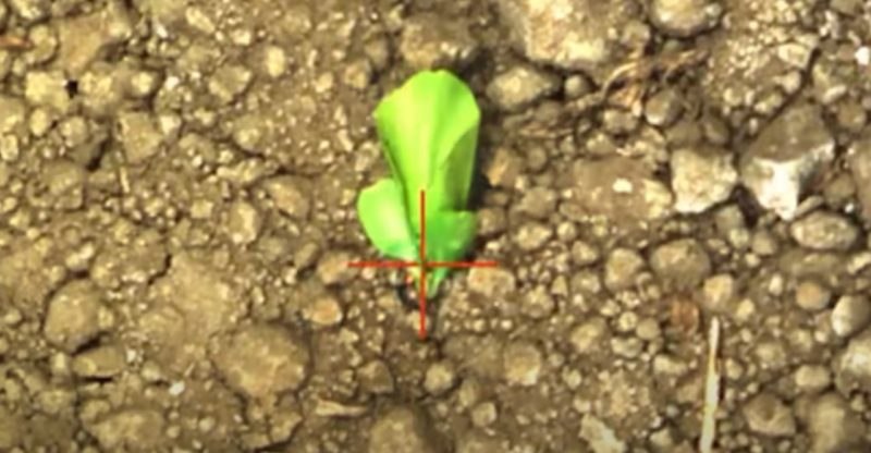 NVIDIA AI解决农业古老问题：搭配激光秒杀上万棵杂草在农业领域，杂草一直是让人头疼的问题，不仅会抢占作物的养分，还可能导致农药的过度使用