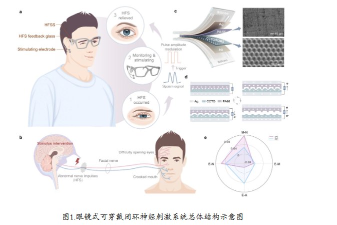 清华研发智能眼镜:实时监测并一键平息面部抽搐针对面肌痉挛（HFS）临床评估主观性强、现有疗效受限及手术风险等挑战，清华大学生物医学工程学院李翀副教授团队联合多系所及临床医院，成功研发出一种基于眼镜形态的可穿戴闭环神经刺激系统