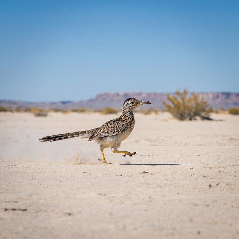 微软发布首款自主开发图像生成模型MAI-Image-1近年来，微软在产品和服务中大量依赖OpenAI的人工智能模型