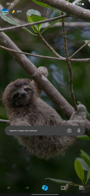 移动端 Edge 的 Bing AI 更换图标了via Danielbility🗒 标签: #Bing📢 频道: @GodlyNews1🤖 投稿: @GodlyNewsBotvia Yummy 😋 - Telegram Channel (author: Yummy 投稿机器人)移动端 Edge 的 Bing AI 更换图标了via Danielbility🗒 标签: #Bing📢 频道: @GodlyNews1🤖 投稿: @GodlyNewsBotvia Yummy 😋 - Telegram Channel (author: Yummy 投稿机器人)