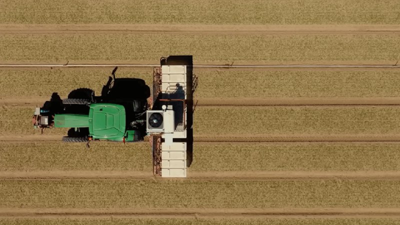 NVIDIA AI解决农业古老问题：搭配激光秒杀上万棵杂草在农业领域，杂草一直是让人头疼的问题，不仅会抢占作物的养分，还可能导致农药的过度使用