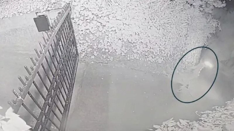 袭击奥特曼住所嫌犯警告AI毁灭人类 多家AI公司CEO成目标4月14日，据《华尔街日报》报道，OpenAI CEO萨姆·奥特曼(Sam Altman)加州住所上周遭遇燃烧瓶式袭击